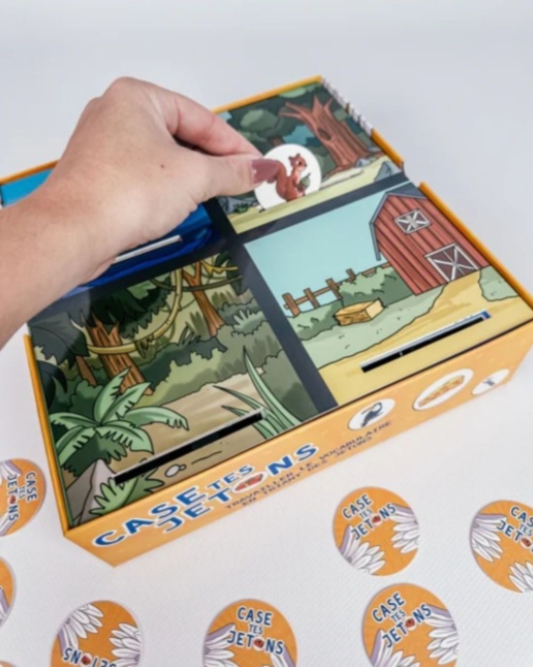 Plume et Papote Jeu Pédagogique Case tes jetons ( niveau 1 )