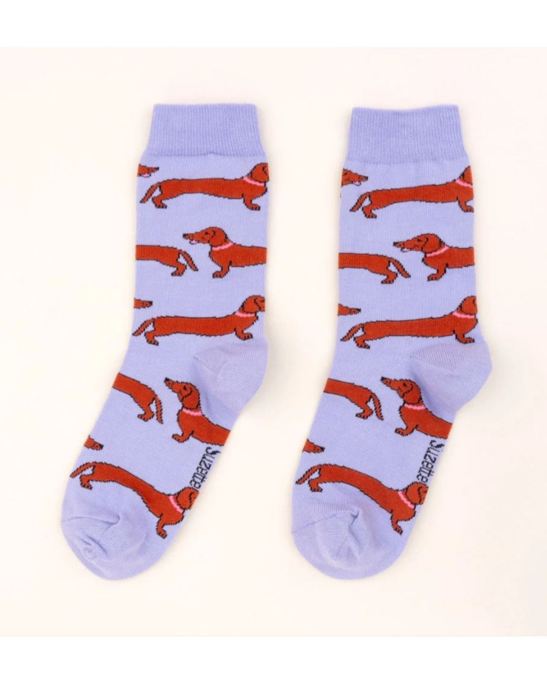 Coucou Suzette Chaussettes adulte Teckel