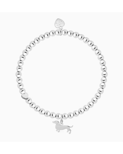 Life Charms Bracelet Teckel
