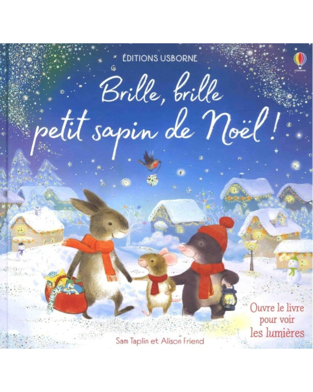 Livre Brille, brille petit sapin de Noël !